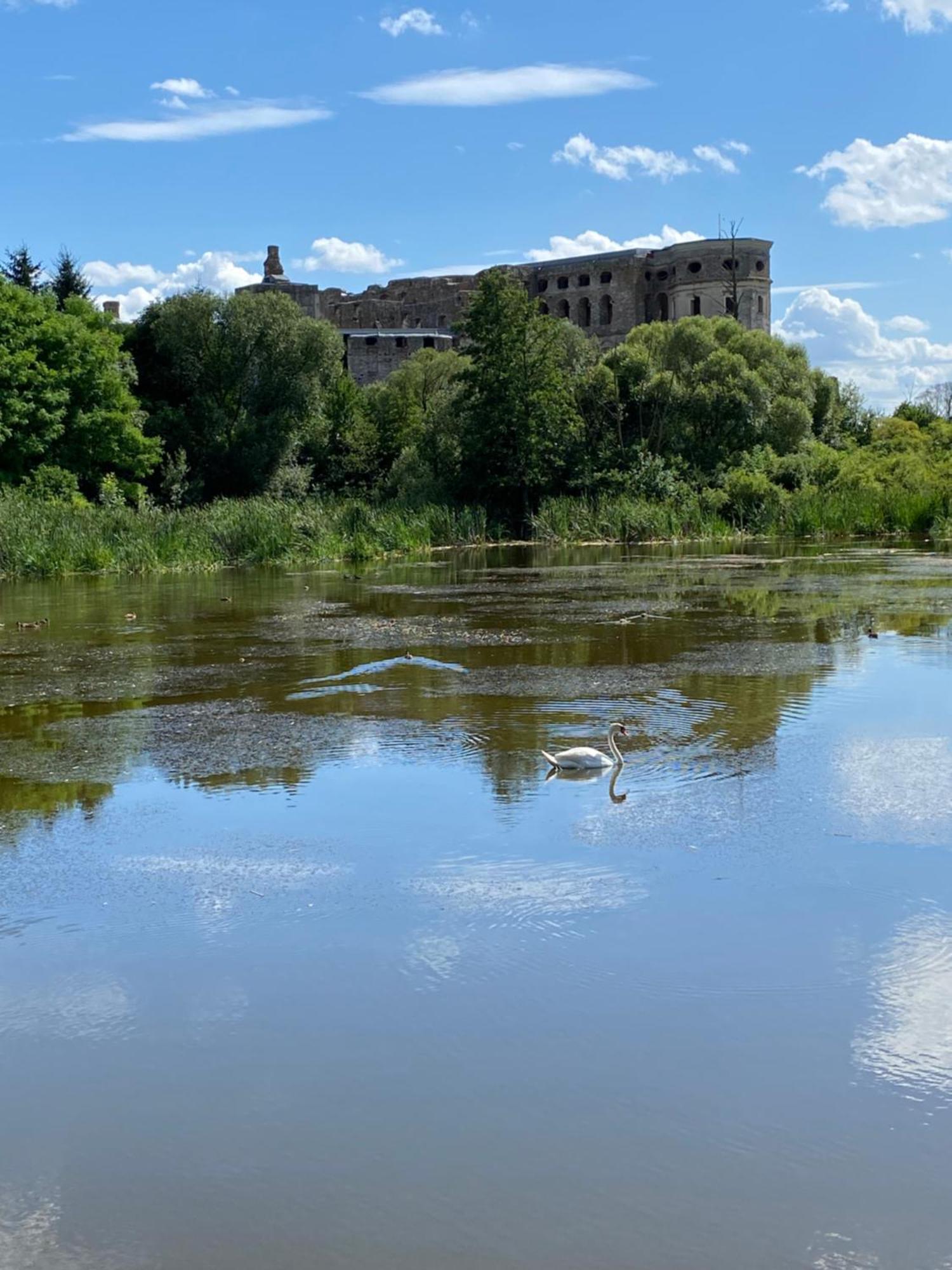 Villa Dworek Pod Krzyztoporem Ujazd